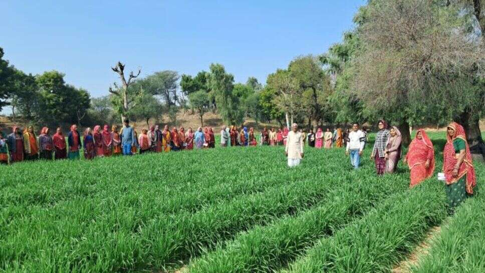 पद्मश्री सुंडाराम कृषि फार्म दांता पर महिलाओं ने जानी खेती की जानकारी