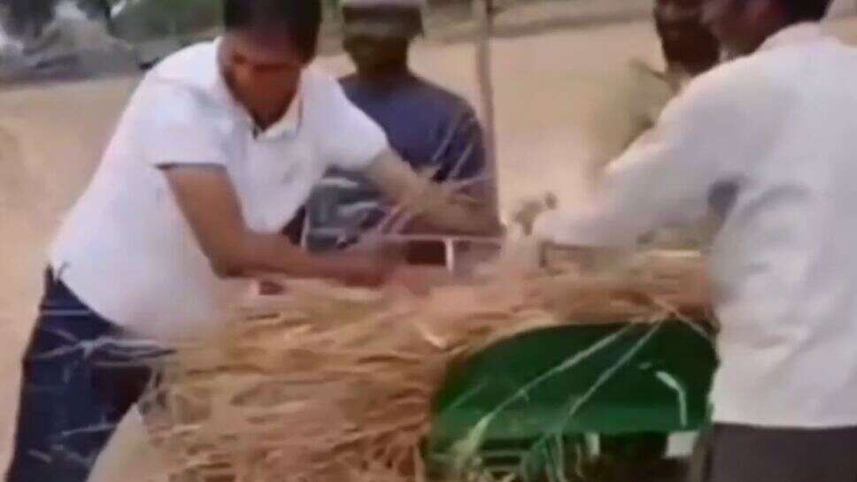 चूरू लोकसभा प्रत्यासी देवेंद्र झाझड़िया खेत मे काम करते आए नजर