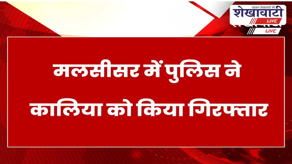 नकबजनी के मामले में फरार आरोपी कालिया गिरफ्तार