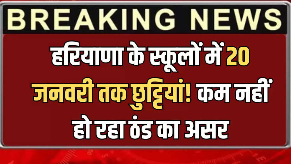 हरियाणा के स्कूलों में 20 जनवरी तक छुट्टियां! कम नहीं हो रहा ठंड का असर