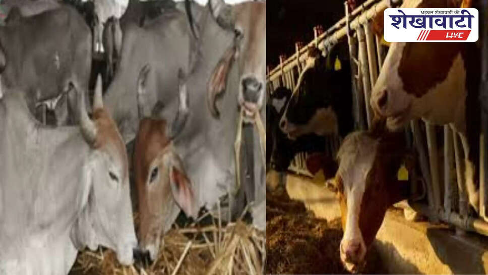 Animal welfare awareness program during Churu animal welfare fortnight