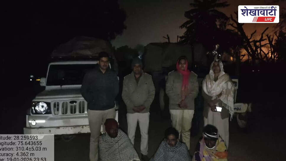 Forest department seizes vehicles carrying illegal green wood in Chidawa