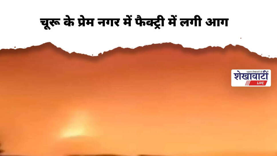 Fire breaks out in handicraft furniture factory in Churu