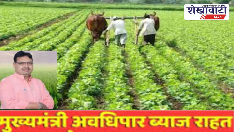 Jhunjhunu land development bank loan holders get interest relief