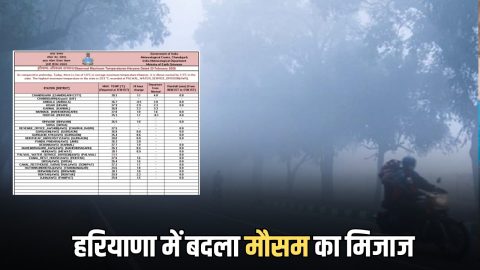 Haryana Weather Update : हरियाणा के सिरसा, हिसार समेत कई इलाकों में गहरी धुंध छाई, तापमान में बड़ी गिरावट जारी, देखें अगले 5 दिन का मौसम पूर्वानुमान