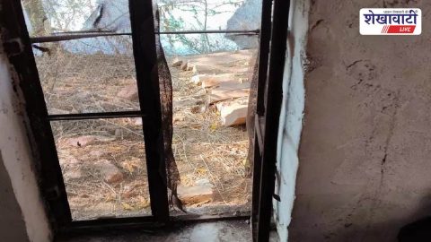 Churu News : सादुलपुर में प्रॉपर्टी डीलर ऑफिस में चोरी, पुलिस जांच में