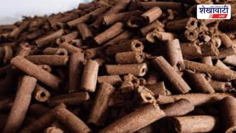 Sikar News : सीकर में गोकाष्ठ से होगा होलिका दहन 2 मार्च को