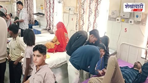 Jhunjhunu News : चिड़ावा में श्याम भक्तों पर मधुमक्खियों का हमला, 8 घायल