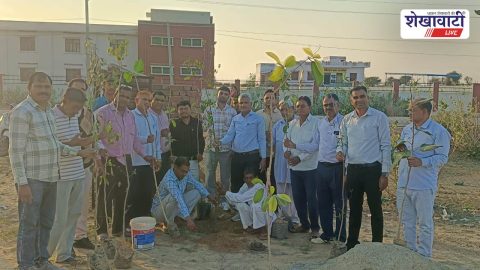 Youth planting trees during Basant Utsav in Alsisar