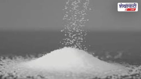 Sikar News : ज्यादा नमक से स्ट्रोक-कैंसर का खतरा, पांच ग्राम सीमा