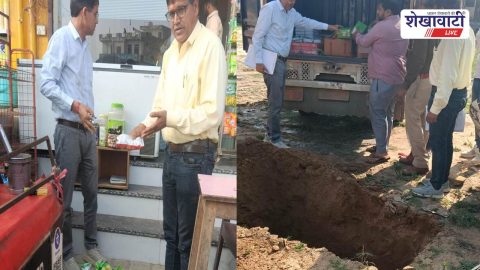 Sikar : रींगस में 394 किलो मिल्क केक नष्ट, लक्खी मेले में खाद्य विभाग की बड़ी कार्रवाई