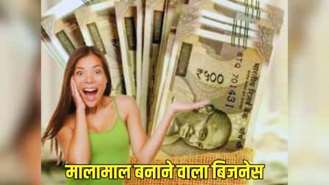 20000 के खर्च में शुरू करें ये शानदार बिजनेस, घर बैठे बन जाएंगे करोड़पति, खूब बरसेगा पैसा