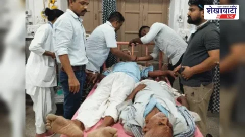 सुजानगढ़ के मींगना गांव में मधुमक्खियों का हमला | Bee Attack in Mingna Village Sujangarh