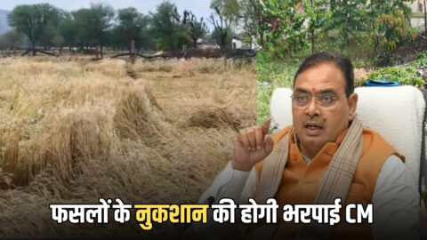 Rajasthan News : राजस्थान में बारिश और अतिवृष्टि से फसलों के नुकशान की होगी भरपाई, CM भजनलाल शर्मा ने दिए निर्देश