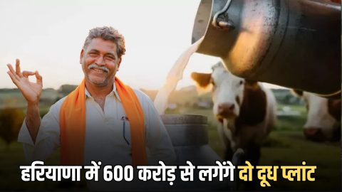 हरियाणा में किसानों की होगी बल्ले-बल्ले, दो जिलों में 600 करोड़ से लगेंगे दो दूध प्लांट