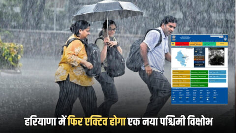 Haryana Weather Update : हरियाणा में 7°C तक गिरा पारा, इस हफ्ते एक्टिव होगा एक नया पश्चिमी विक्षोभ, फिर होगी झमाझम बारिश