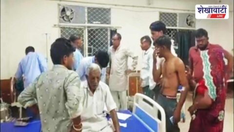 Churu News : मधुमक्खियों का हमला, 5 किसान घायल