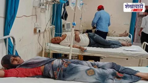 Churu bee attack farmers injured during gram harvesting field incident