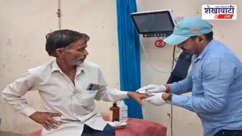 Nilgai collision with tempo on Churu road injured person