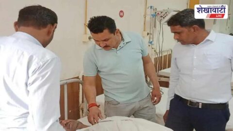 Farmer attacked by bees during mustard harvesting in Churu Rajasthan