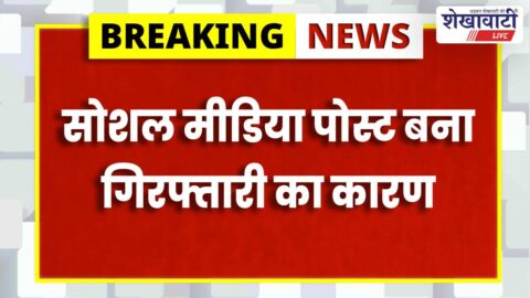 Police arrest youth for dummy weapon social media post Pilani