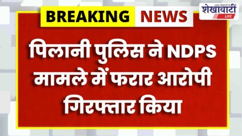 Pilani police arrest absconding NDPS accused after eight months investigation