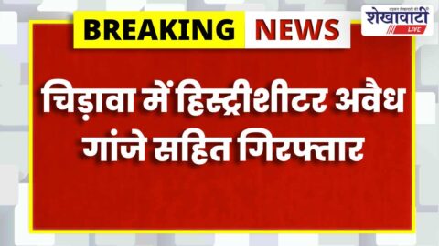 Chirawa police arrest history-sheeter with illegal cannabis