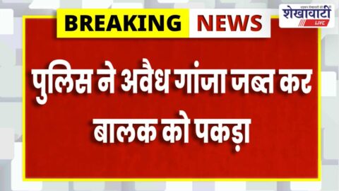 Police seizing illegal ganja in Surajgarh Jhunjhunu during operation