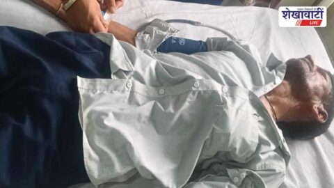 Man injured by honeybee swarm near Chidawa protest site