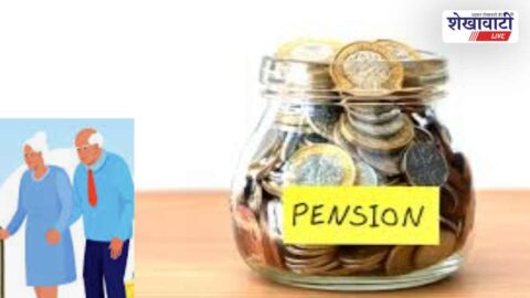 Pensioners completing annual physical verification at e-mitra center