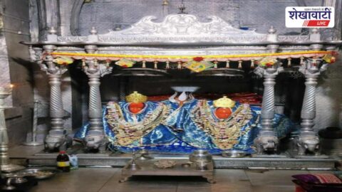Devotees carrying flags in Nishan Yatra towards Sakaray Dham