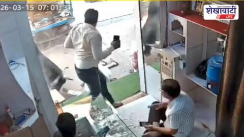 Stray bull attack incident in Fatehpur elderly victim hospitalized