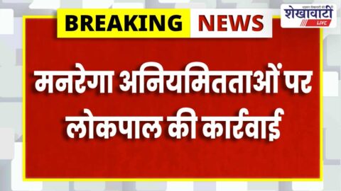 MNREGA work irregularities investigation action taken in Sikar Rajasthan