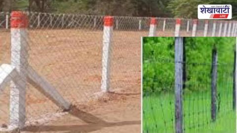 Farm fencing with barbed wire protecting crops from animals
