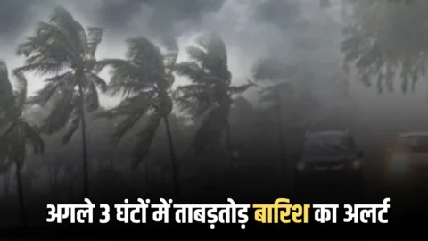 अगले तीन घंटों में हरियाणा के इन जिलों में ताबड़तोड़ बारिश का अलर्ट, IMD ने जारी किया नया अपडेट