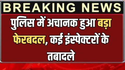 Chandigarh Police Transfer : पुलिस में अचानक हुआ बड़ा फेरबदल, कई इंस्पेक्टरों के तबादले; पढ़ें किसे क्या मिली जिम्मेदारी?