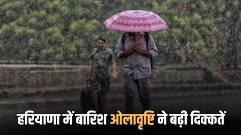 Haryana Weather Update : हरियाणा में सामान्य से 8°C तक नीचे तापमान; बारिश ओलावृष्टि ने बढ़ी दिक्कतें, देखें आगे कैसा रहेगा मौसम