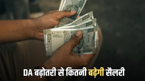 DA में 2% की बढ़ोतरी के बाद कहां पहुंचेगी आपकी सैलरी ? समझिये 50,000 की बेसिक के हिसाब से पूरा गणित