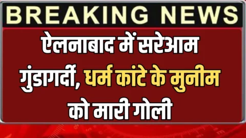Haryana News : सिरसा के ऐलनाबाद में सरेआम गुंडागर्दी, धर्म कांटे के मुनीम को मारी गोली; हालत नाजुक
