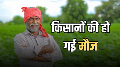MSP Price Crop : किसानों की हो गई मौज, बिहार में अब MSP पर चना-सरसों की भी खरीद, केंद्र ने दी मंजूरी