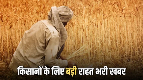 Rajasthan Crop compensation : केंद्र की तीन टीमें आज पहुंचेगी जयपुर, राजस्थान के किसानों के लिए आ रही है बड़ी राहत भरी खबर