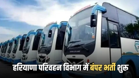हरियाणा परिवहन विभाग में बंपर भर्ती शुरू, जानें कैसे होगा चयन
