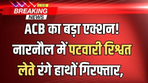 हरियाणा में ACB का बड़ा एक्शन! नारनौल में पटवारी रिश्वत लेते रंगे हाथों गिरफ्तार, 10 हजार में हुई थी डील