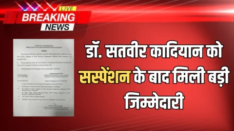 Haryana Transfer : हरियाणा में सिंचाई विभाग के स्पेशल HOD होंगें डॉ. सतवीर कादियान, सस्पेंशन के बाद मिली बड़ी जिम्मेदारी