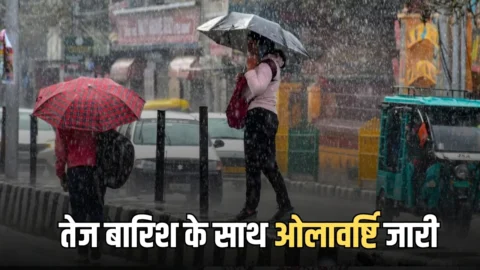 हरियाणा के सिरसा जिले में तेज बारिश के साथ ओलावर्ष्टि जारी,किसानों की पकी फसल पर मौसम की मार