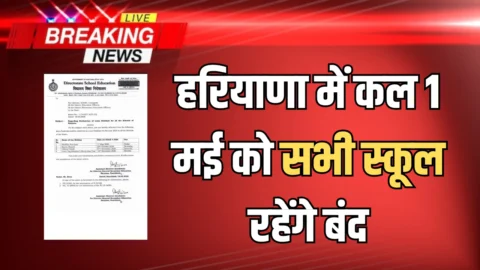 हरियाणा में कल 1 मई को सभी स्कूल रहेंगे बंद, शिक्षा विभाग का आदेश जारी.