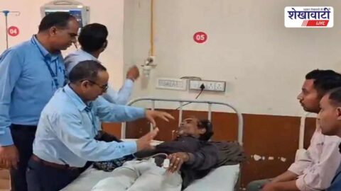 Farmers injured after bee swarm attack during wheat harvesting in Churu