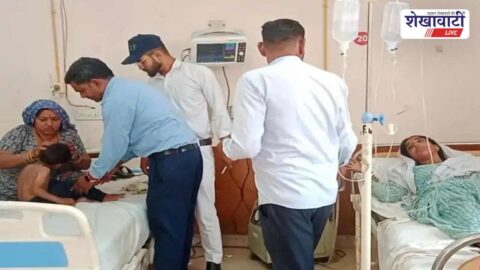 Bee swarm attack on farmers field injures child and women