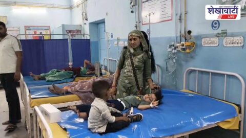 People injured by honeybee attack at wedding in Ratangarh