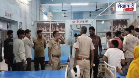 Bee attack incident in Ratangarh Churu injures villagers and kills elderly